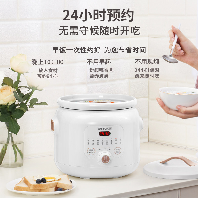  天际深圳电炖/煮粥锅/文火炉