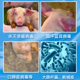 Потатер серная дезинфекция калия сельскую ферму Курица, корова, овец, свиноводная дезинфекция порошка нерагромообразования гидравлические гидравлические тела Дезинфекция дезинфекция