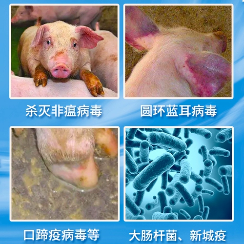 Потатер серная дезинфекция калия сельскую ферму Курица, корова, овец, свиноводная дезинфекция порошка нерагромообразования гидравлические гидравлические тела Дезинфекция дезинфекция