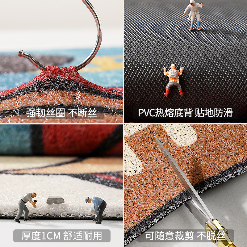 入户门地垫进门大门口脚垫2025新款家用专用门垫室内丝圈防滑地毯 - 图2