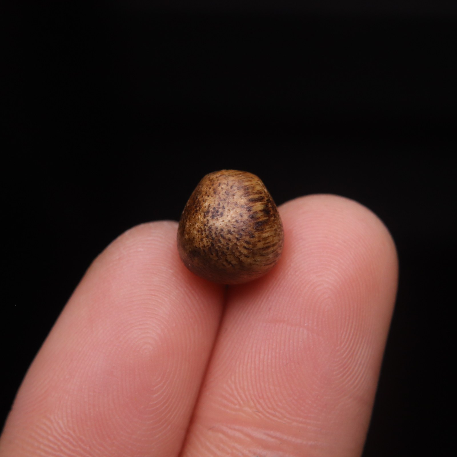 原创S925银镀金无相佛镶嵌天然沉香木水滴桶珠散珠DIY配饰配珠,淘宝优惠券,粉丝福利购,淘宝优惠卷