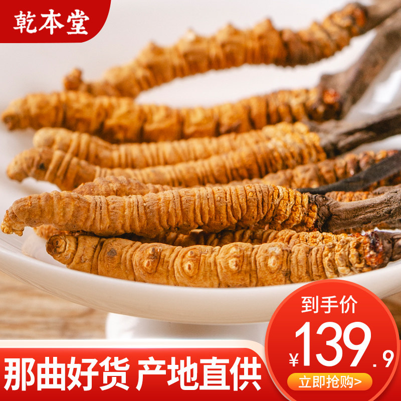 乾本堂冬虫夏草新鲜干货特产虫草西藏那曲野生正品煲汤滋补养生