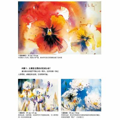 水彩绘画书水彩的极致表达花水彩画教程教材入门水彩入门画教程书水彩绘画技法法玛丽兹德梅入门零基础高级绘画教程书籍 虎窝淘