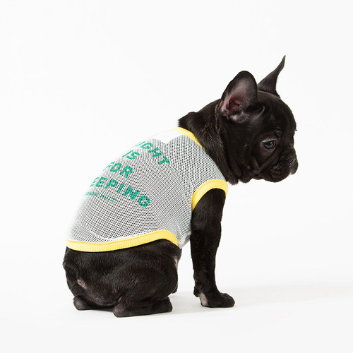 sniff宠物狗狗猫咪小型犬春夏薄款衣服断码清仓链接1性价比高 - 图0