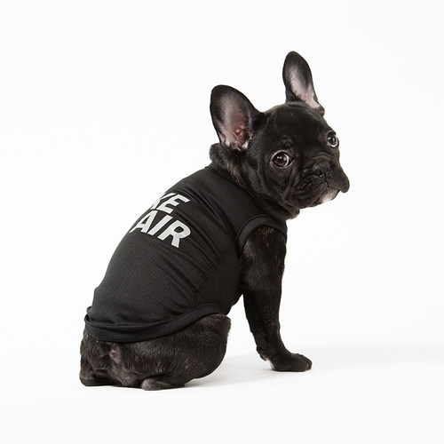 sniff宠物狗狗猫咪小型犬春夏薄款衣服断码清仓链接1性价比高 - 图1