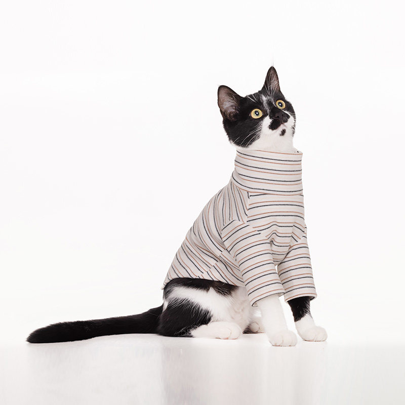 Sniff宠物狗狗猫咪春秋高领舒适打底衫衣服泰迪比熊中小型犬衣服,淘宝优惠券,粉丝福利购,淘宝优惠卷