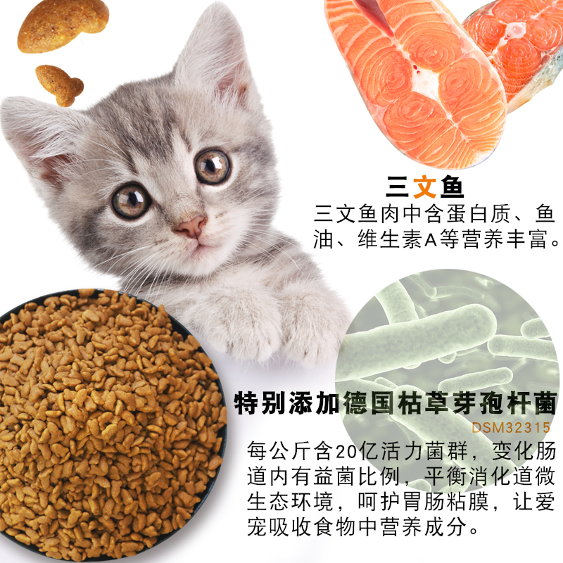 猫粮幼猫成猫1-12月猫咪专用营养全价三文鱼益生菌增肥发腮试吃装-图2