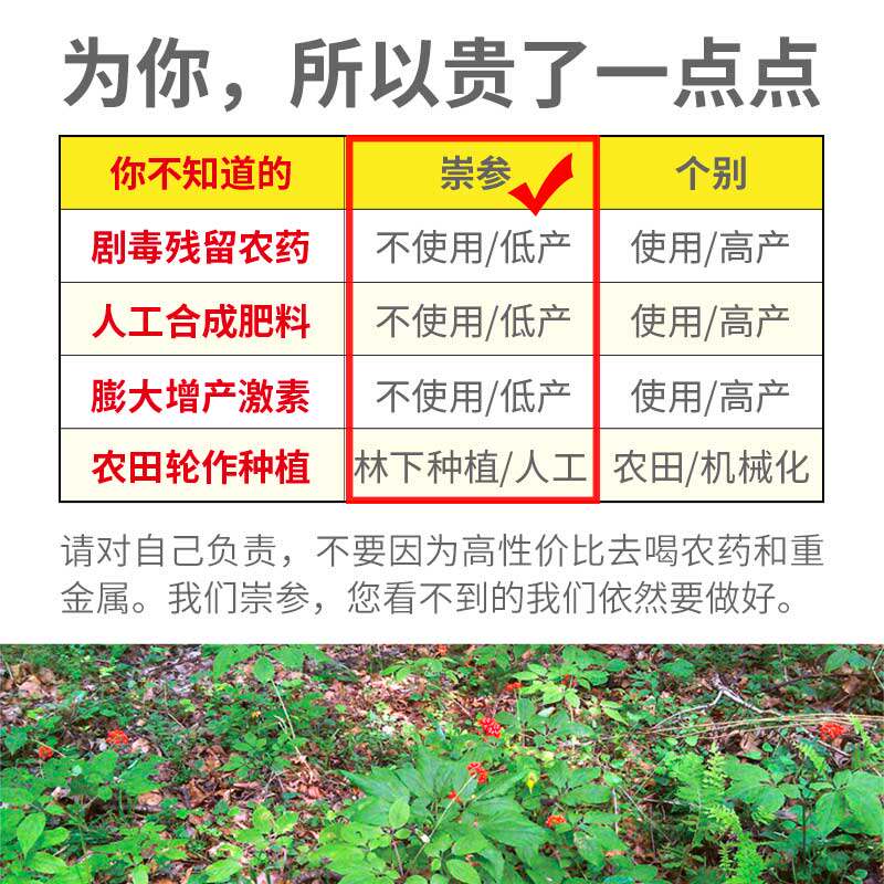 长白山鲜干人参新鲜吉林东北白参须 崇参人参/园参及其制品