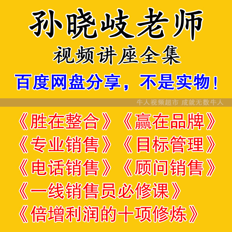 孙晓岐全集胜在整合赢在品牌专业销售电话行销视频讲座培训课程-图0