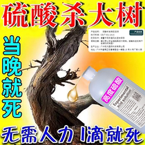 Killing Tree Sulphuric Acid Trees Bamboo Grass Rotten Root Agents Powerful Removal Of Tree Agents Dead Trees Rotten Roots Trees Rot Tree Root Corrosion Special Medicine