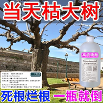 Killing Tree Sulfic Acid Trees Bamboo Grass Rotten Root Agents Powerful Removal Of Tree Agents Dead Trees Rotten Roots Trees Rot Tree Root Corrosion Special Medicine