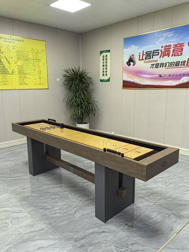 标准沙狐球台家用沙壶球桌多功能家庭沙弧球台保龄球酒架健身器材 - 图0