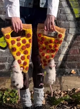 老鼠挂披萨包包小红书同款