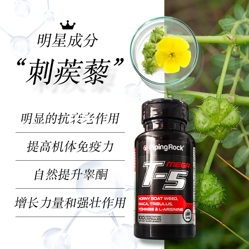 美国朴诺t5羊藿刺蒺藜玛咖片精氨酸 pipingrock海外其它植物提取物