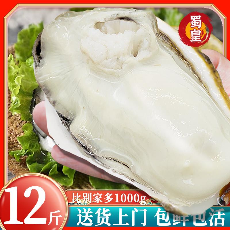 乳山生蚝鲜活10斤特大生蚝肉一级牡蛎即食新鲜海蛎子海鲜水产贝类-图0