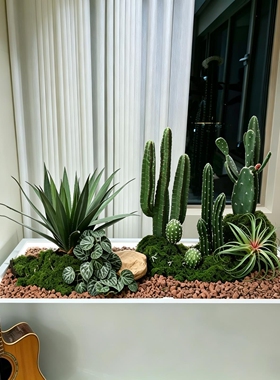 仿真沙生植物小仙人掌绿植造景