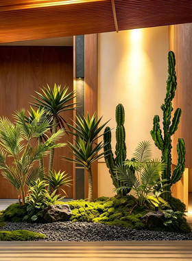 仿真铁树兰盆栽沙漠沙生绿植造景