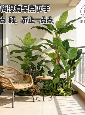 大型高级仿真芭蕉树热带植物造景