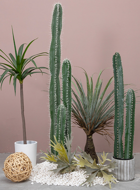 仿真量天尺仙人柱盆栽仙人掌植物