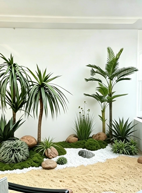 仿真沙生植物造景沙漠风室内景观