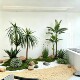 Simulated sand plant landscaping desert style indoor landscape