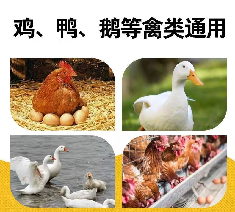 正大产蛋鸡饲料524L五谷杂粮土鸡鸭饲料鹅通用下蛋中大鸡饲料40斤,淘宝优惠券,粉丝福利购,淘宝优惠卷