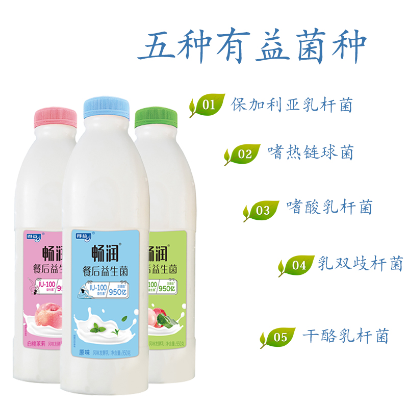 得益 畅润大桶酸牛奶950g/桶*2果味 风味发酵乳家庭实惠装 - 图0