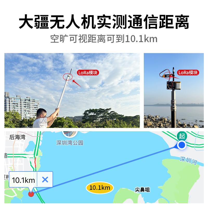 大夏龙雀LoRa通信模块10km发射频无线串口透传输组网LR03-433MHz - 图1