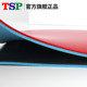Authentic tsp imported Japanese rubber table tennis racket