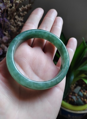 52-53圈口天然A货翡翠手镯贵妃玉镯椭圆形冰油青女手镯