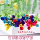 景翠缘 快乐 花原 干燥 小花 苞花 骨朵 艺术 DIY 干花 快乐 花 水晶滴胶 水晶滴胶 水晶滴胶