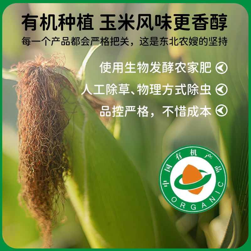 【真有机】公主岭 东北有机黄白糯玉米礼盒200g*8穗香黏粘玉米棒