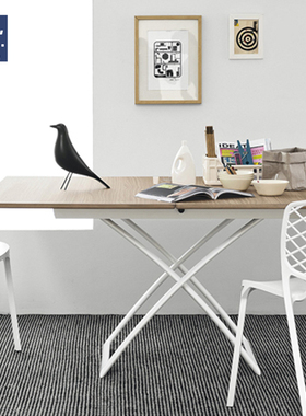AIVTAI/创意设计师摆件eames house bird伊姆斯家居鸟装饰品