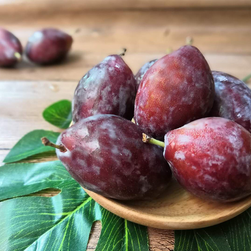 现货 特级澳洲西梅大果5斤甜李子新鲜水果孕妇法兰西当季顺丰包邮,淘宝优惠券,粉丝福利购,淘宝优惠卷