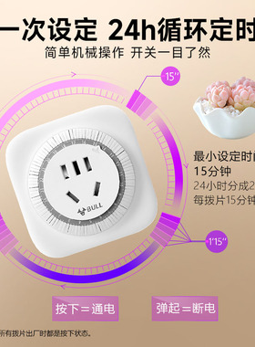 公牛室内植物灯定时开关