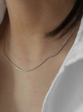 钛钢不掉色蛇骨链小众项链女轻奢颈链高级感锁骨链ins冷淡风配饰