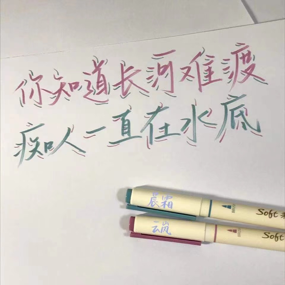 点石DS827柔绘笔彩色秀丽笔手账Brush绘画涂鸦书法小楷软头勾线笔-图2