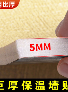 【6mm巨厚墙纸】防潮防寒