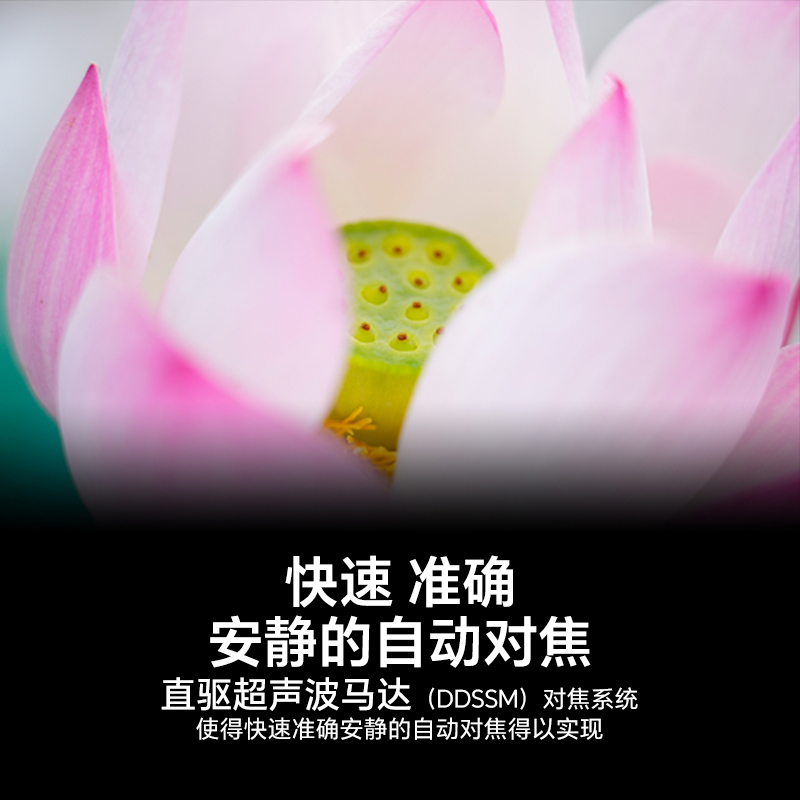 Sony/索尼 FE 24-105mm F4 G OSS 全画幅标准变焦G镜头SEL24105G - 图2