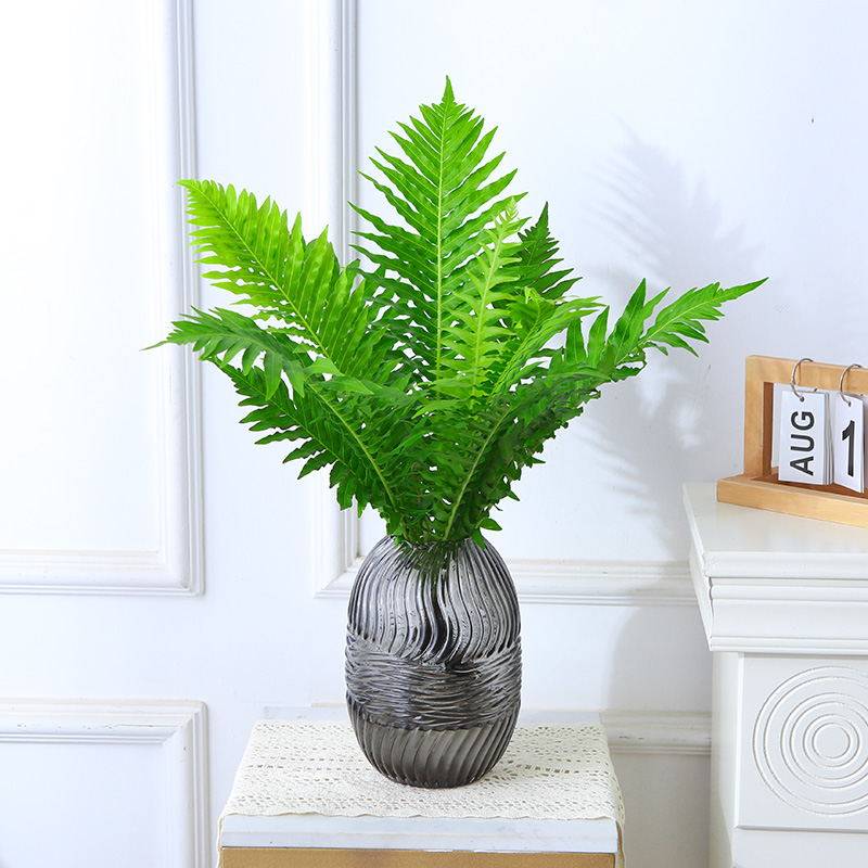 水培植物富贵蕨盆栽喜阴室内客厅办公室净化空气吸甲醛好养大绿植,淘宝优惠券,粉丝福利购,淘宝优惠卷