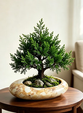 新中式禅意风陶瓷造景盆迎客松黑松专用盆室内桌面绿植鲜花盆栽盆