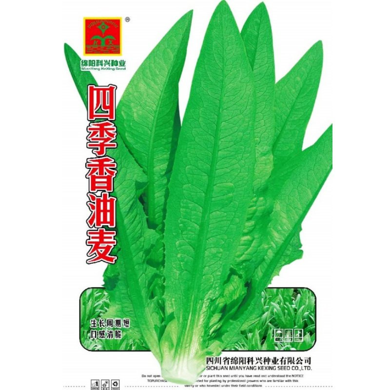 油麦菜种子四季香油麦菜籽青菜四川夏秋季耐寒耐热农家田园蔬菜孑,淘宝优惠券,粉丝福利购,淘宝优惠卷