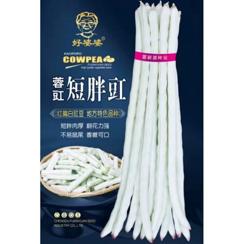 红嘴白胖豇豆种子短胖肉厚白豆角种籽地方特色四川春季田园蔬菜孑 - 图3