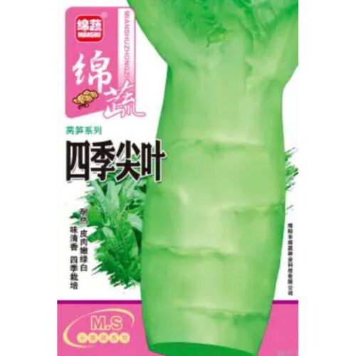莴笋种子莴苣种籽耐热耐寒尖圆叶香窝笋种籽四川春夏季秋季蔬菜孑 - 图3