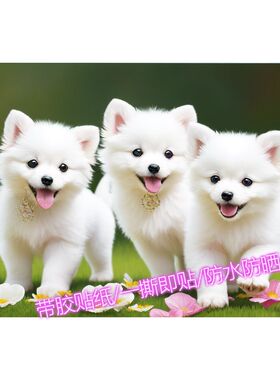 治愈可爱狗子自粘贴画走廊外墙门窗卧室柜子墙上贴纸定制装饰壁画