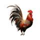 Rooster crowing big red rooster zodiac sticker wall decoration painting living room wallpaper self-adhesive good luck head wall sticker