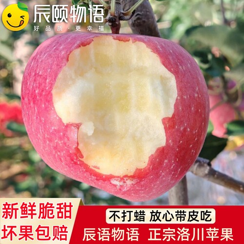 辰颐物语洛川苹果新鲜苹果甜甜苹果水正宗当季新鲜现摘脆甜平果 - 图0