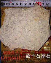 Yanzi Stone Trifoliate Fossilized Ancient Bio Fossil Chiishi Original Stone Fidelity Limit RMB28