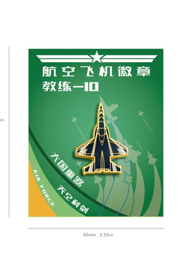 航天利器歼20战斗机徽章
