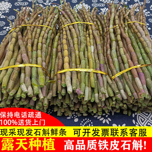 正品铁皮石斛鲜条1000g中药材枫斗六年生基地批发霍山新干花宗粉 - 图1